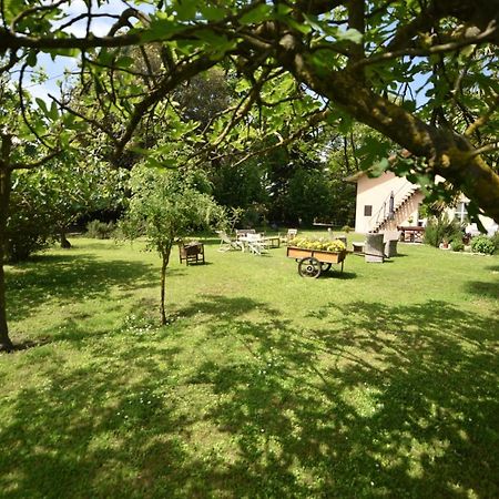 カスティリオーネ・ディ・ラベンナ Capannone111 Bed & Breakfast エクステリア 写真
