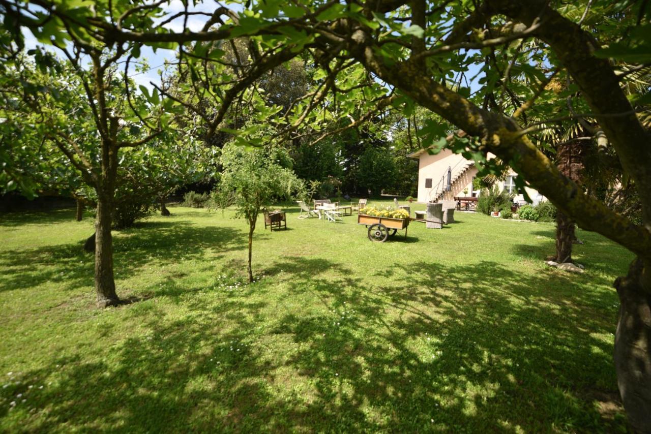 カスティリオーネ・ディ・ラベンナ Capannone111 Bed & Breakfast エクステリア 写真